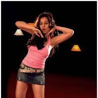 Hot Actress Nisha Kothari Latest Spicy Photos | Picture 461318