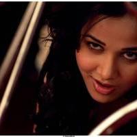 Hot Actress Nisha Kothari Latest Spicy Photos | Picture 461341