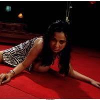 Hot Actress Nisha Kothari Latest Spicy Photos | Picture 461368