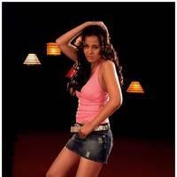 Hot Actress Nisha Kothari Latest Spicy Photos | Picture 461370