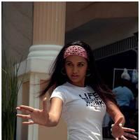 Hot Actress Nisha Kothari Latest Spicy Photos | Picture 461377