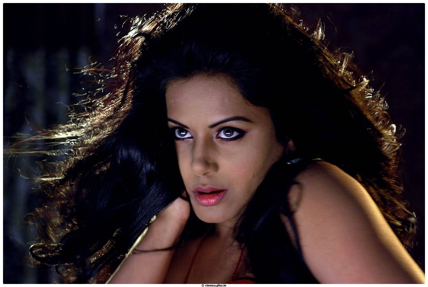 Rachana Maurya Hot Images in Vijetha Movie | Picture 463166