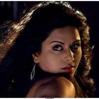 Rachana Maurya Hot Images in Vijetha Movie | Picture 463117