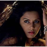 Rachana Maurya Hot Images in Vijetha Movie | Picture 463121