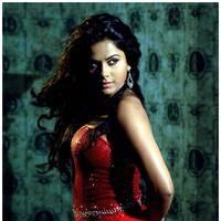 Rachana Maurya Hot Images in Vijetha Movie | Picture 463132