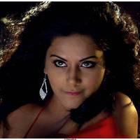 Rachana Maurya Hot Images in Vijetha Movie | Picture 463158