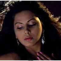 Rachana Maurya Hot Images in Vijetha Movie | Picture 463169