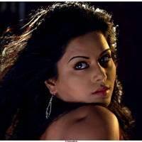 Rachana Maurya Hot Images in Vijetha Movie | Picture 463197