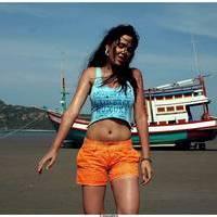 Nisha Kothari Latest Hot Photos | Picture 464404