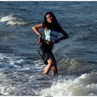 Nisha Kothari Latest Hot Photos | Picture 464416