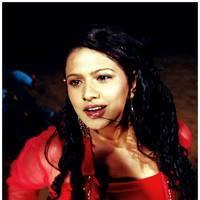 Shivani (Actress) - Bhaja Bhajantrilu Movie Hot Photos | Picture 465509