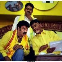 NTR Birthday Celebration in TDP Party Maha Nadu Pictures | Picture 467977