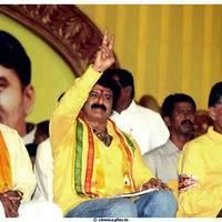 NTR Birthday Celebration in TDP Party Maha Nadu Pictures | Picture 467979