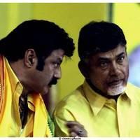 NTR Birthday Celebration in TDP Party Maha Nadu Pictures | Picture 467980
