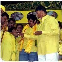 NTR Birthday Celebration in TDP Party Maha Nadu Pictures | Picture 467982
