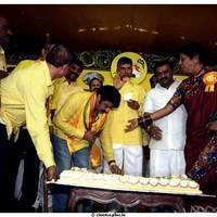 NTR Birthday Celebration in TDP Party Maha Nadu Pictures | Picture 467985