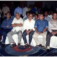 Anthaku Mundhu Aa Taruvatha Movie Audio Launch Photos | Picture 469564