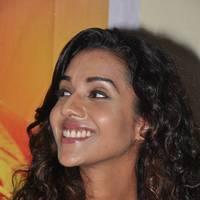 Anu Priya - Potugadu Movie Audio Success Meet Pictures