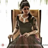 Tapsee Latest Hot Photoshoot images | Picture 563084