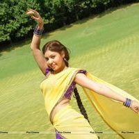 Komal Jha Hot Half Saree Images | Picture 569018