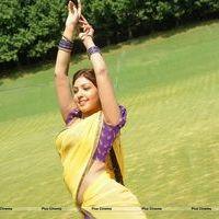 Komal Jha Hot Half Saree Images | Picture 569019