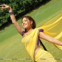 Komal Jha Hot Half Saree Images | Picture 569020
