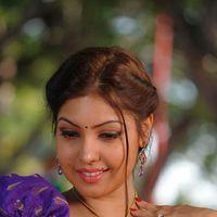 Komal Jha Hot Half Saree Images | Picture 569044