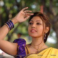 Komal Jha Hot Half Saree Images | Picture 569062