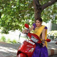 Komal Jha Hot Half Saree Images | Picture 569088