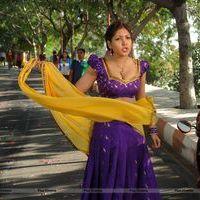 Komal Jha Hot Half Saree Images | Picture 568987