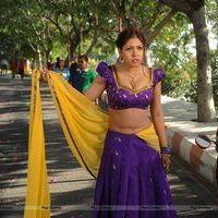 Komal Jha Hot Half Saree Images | Picture 568988