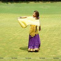 Komal Jha Hot Half Saree Images | Picture 569107