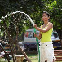 Shriya Latest Hot Photos | Picture 569544