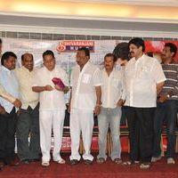 Binami Velakotlu Movie Audio Launch | Picture 172434