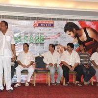 Binami Velakotlu Movie Audio Launch | Picture 172448