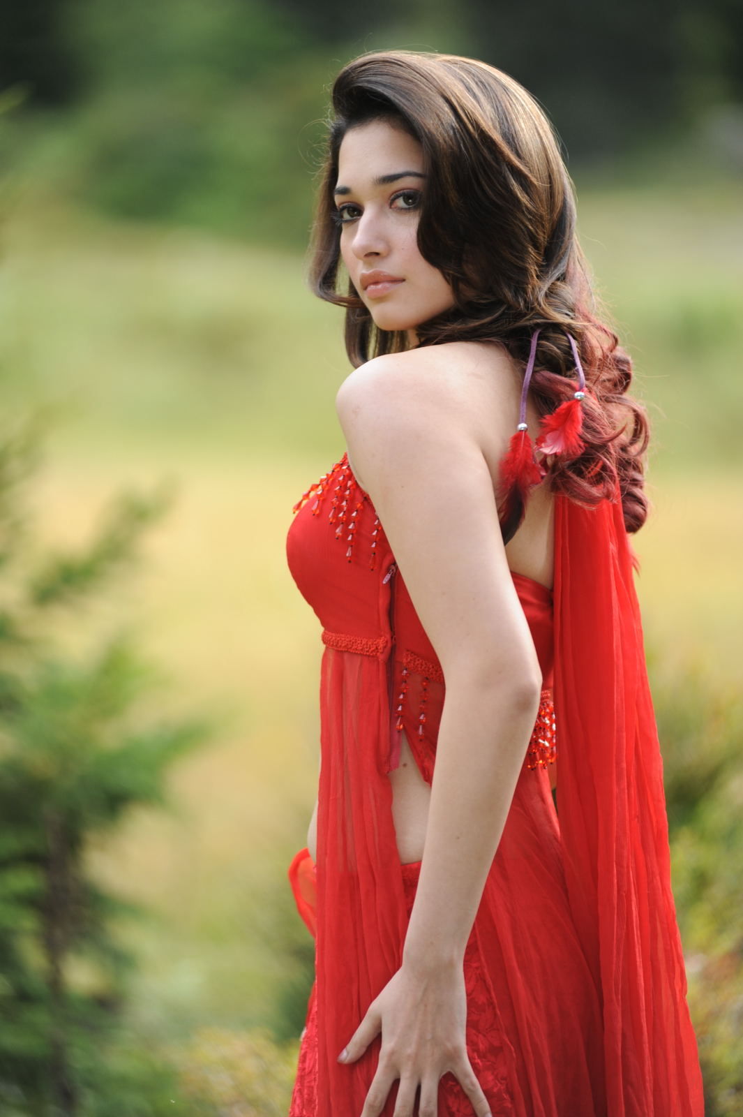 Tamanna Exclusive Gallery From Oosaravelli Movie | Picture 172070