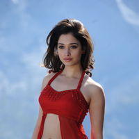 Tamanna Exclusive Gallery From Oosaravelli Movie | Picture 171920