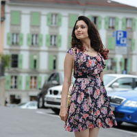 Tamanna Exclusive Gallery From Oosaravelli Movie | Picture 171922