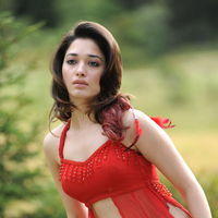 Tamanna Exclusive Gallery From Oosaravelli Movie | Picture 171926