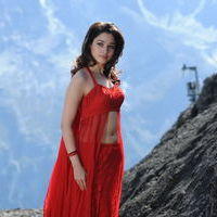 Tamanna Exclusive Gallery From Oosaravelli Movie | Picture 171954