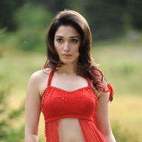 Tamanna Exclusive Gallery From Oosaravelli Movie | Picture 171956