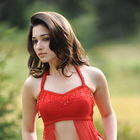 Tamanna Exclusive Gallery From Oosaravelli Movie | Picture 171964