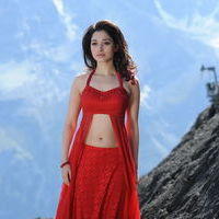 Tamanna Exclusive Gallery From Oosaravelli Movie | Picture 171971
