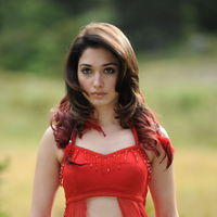 Tamanna Exclusive Gallery From Oosaravelli Movie | Picture 171975