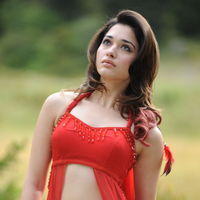 Tamanna Exclusive Gallery From Oosaravelli Movie | Picture 171979