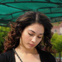 Tamanna Exclusive Gallery From Oosaravelli Movie | Picture 171984