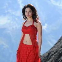 Tamanna Exclusive Gallery From Oosaravelli Movie | Picture 171988