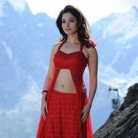 Tamanna Exclusive Gallery From Oosaravelli Movie | Picture 171989