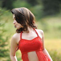 Tamanna Exclusive Gallery From Oosaravelli Movie | Picture 171992
