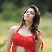Tamanna Exclusive Gallery From Oosaravelli Movie | Picture 171996